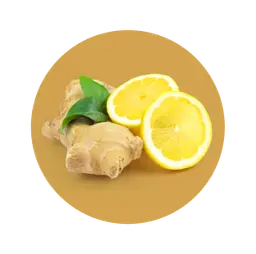 Lemon Ginger icon